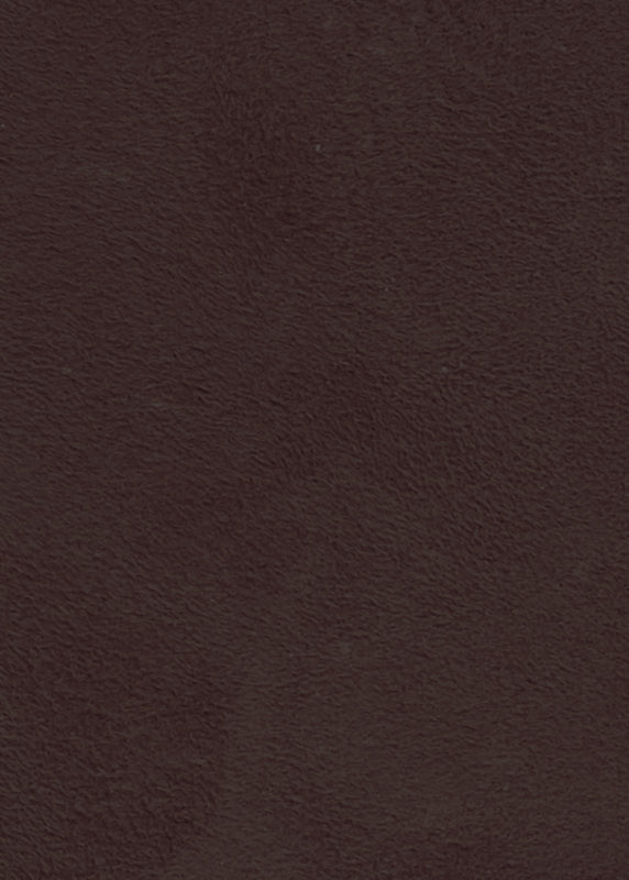 skinnvotter - mørk brun - swatch